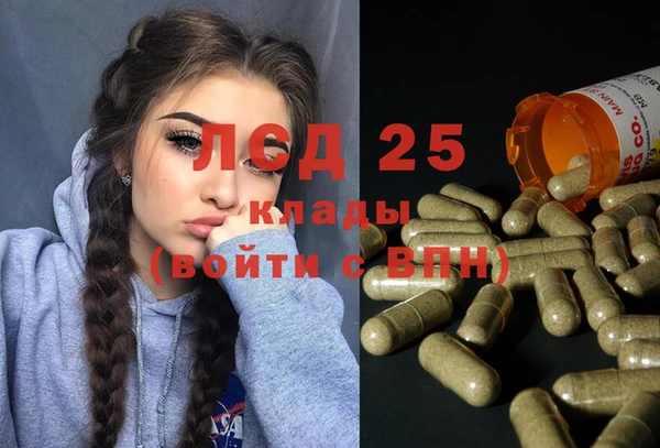 ГАЛЛЮЦИНОГЕННЫЕ ГРИБЫ Балахна