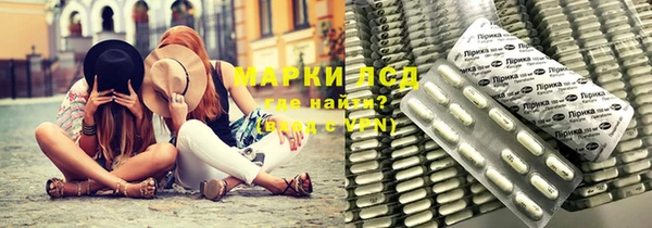 ГАЛЛЮЦИНОГЕННЫЕ ГРИБЫ Балахна