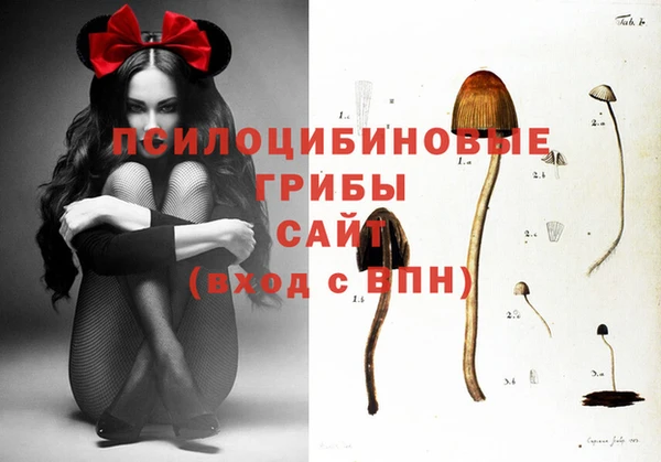 ГАЛЛЮЦИНОГЕННЫЕ ГРИБЫ Балахна