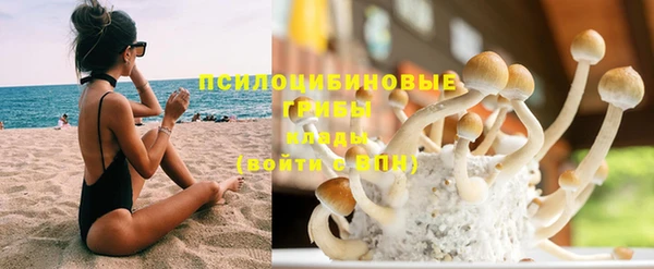 ГАЛЛЮЦИНОГЕННЫЕ ГРИБЫ Балахна