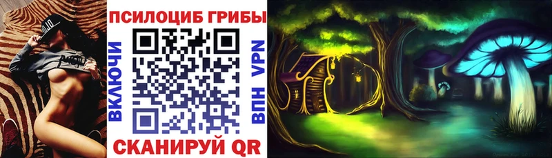где купить наркоту Кремёнки Псилоцибиновые грибы Cubensis